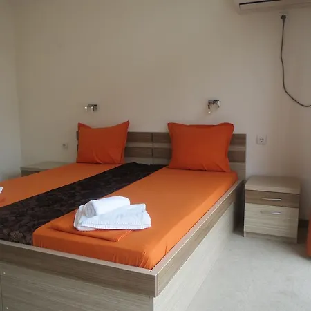 Family Golden Lion 普里莫尔斯科