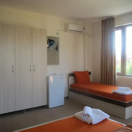 Family Golden Lion 普里莫尔斯科