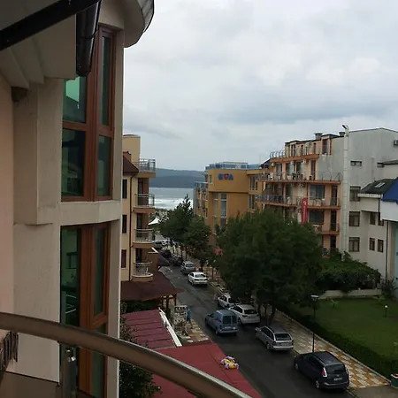 Family Golden Lion 普里莫尔斯科