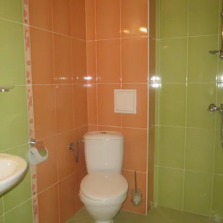 酒店 Family Golden Lion