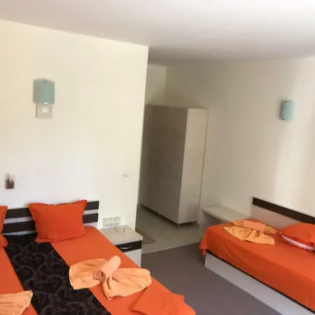 Family Golden Lion 普里莫尔斯科